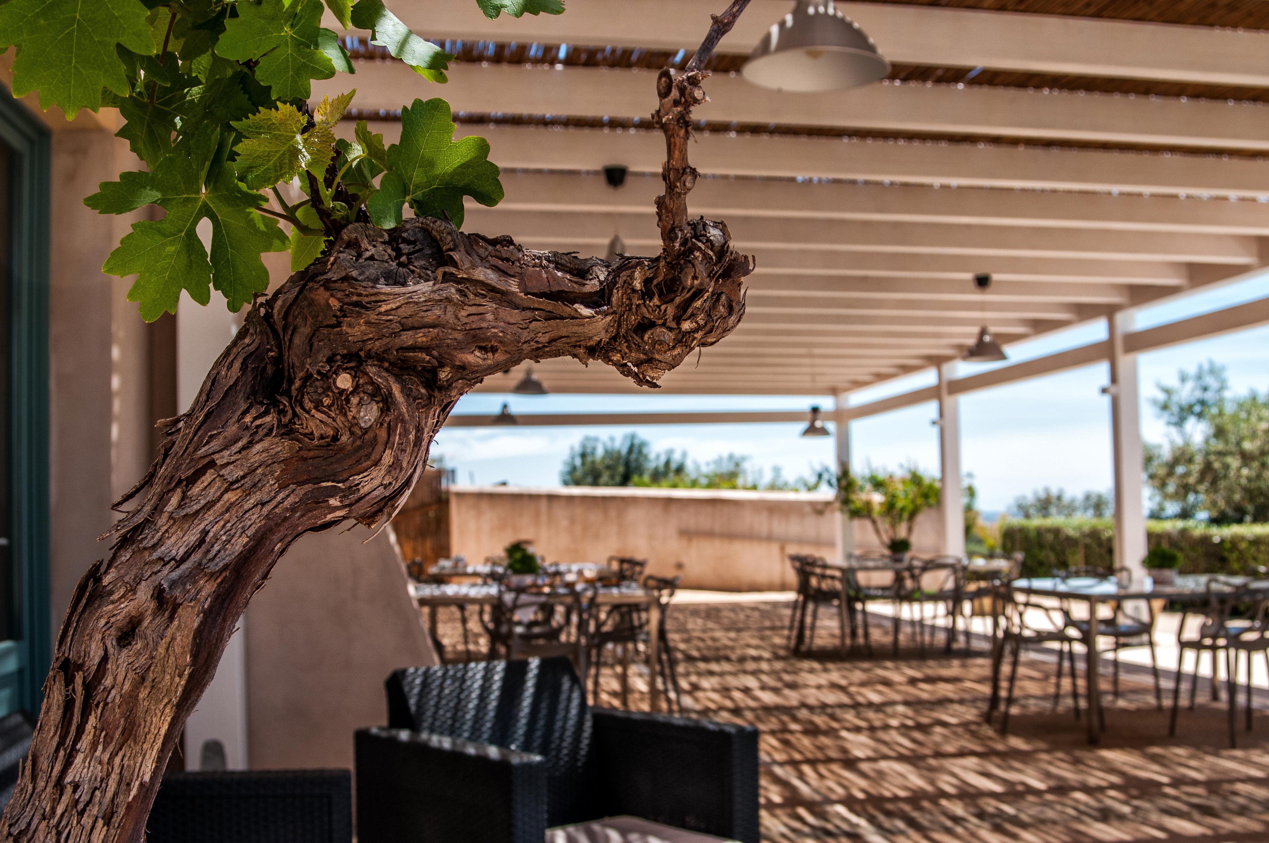Relais Casina Miregia Otel Menfi Dış mekan fotoğraf